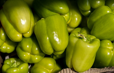 Wall Mural - Green bell peppers for sale at the city farmers market