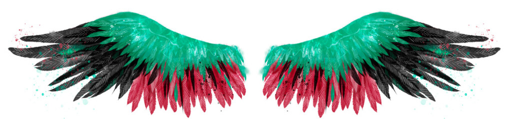 beautiful magis green red black watercolor wings