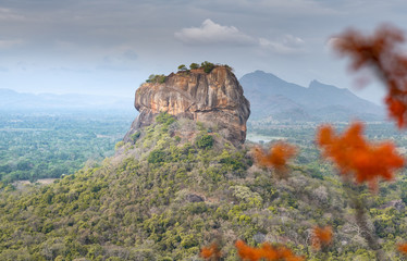 Wall Mural - Sigiriya lion rock fortress, Sri Lanka