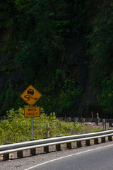 Wall Mural - Road Te Urewera National Park New Zealand. Guardrail