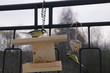 Ptak Modraszka ,ptaki zimą ,Modraszka i Bogatka ,dokarmiane ptactwo