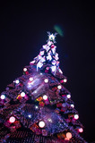 Fototapeta Mosty linowy / wiszący - Christmas tree decorated with decorations