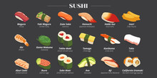 Sushi Vector Set Collection Graphic Design