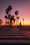 Fototapeta  - Crosswalk and palm trees at sunset, in Venice Beach, Los Angeles, California