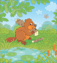 Brown Beaver With A Big Flat Tail And Large Teeth Carrying A Small Gnawed Log By A Small Blue Lake In A Green Forest On A Beautiful Summer Day, Vector Cartoon Illustration