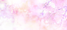 Abstract Floral Backdrop Of Purple Flowers With Soft Style.