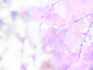 Wall Mural - abstract floral background of ginger leaves in pastel colors