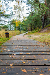 Poster - View of wooden path.