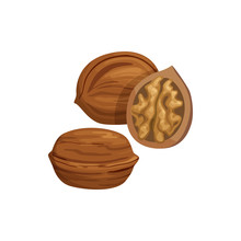 Walnut Whole And Cut Fruit With Kernel Isolated Sketch. Vector Natural Food Snack, Nut In Nutshell