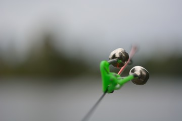 Wall Mural - Summer fishing for carp on the lake