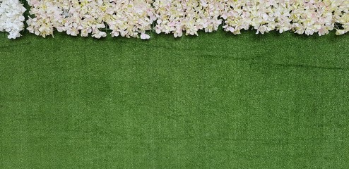 Wall Mural - Green grass lawn with white flower decorated on top for background with copy space. Nature wallpaper or backdrop for decoration.