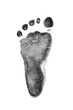 Baby footprints on transparent paper. Black footprint isolated on white background. 