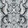 Trendy snake print with black and white for fabric, wallpaper for, cover, interior decor and other users.