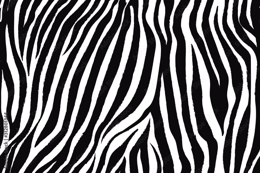 Trendy zebra animal print with black and white for fabric, wallpaper, cover, poster and other users. - obrazy, fototapety, plakaty 