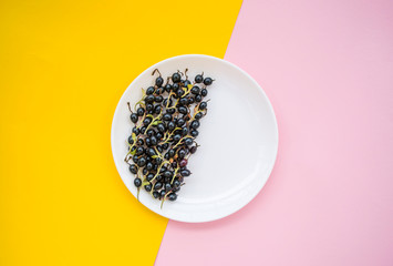 Wall Mural - Fresh blackberries on clear white plate on pastel pik and yellow background.