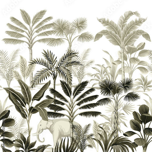 Plakaty dżungla   tropikalny-vintage-botaniczny-krajobraz-palma-drzewo-bananowe-roslina-kwiatowy-bezszwowe-granica