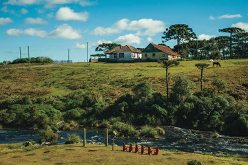 Wall Mural - House on top of hill with grove and stream