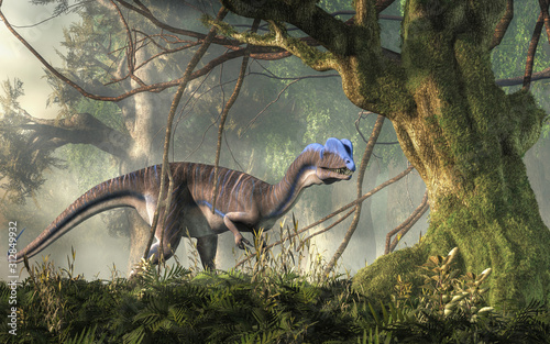 Fototapeta dla dzieci Dilophosaurus was a theropod dinosaur of the early Jurassic period in North America. A predator, it's named for the two crests on its head. Depicted in a jungle. 3D Rendering 