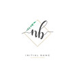 © D'Graphic Studio - Handwritten letter N B NB for identity and logo. Vector logo template with handwriting and signature style.