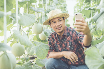 Canvas Print - Asian young farmer taking photo in the farm of young green melon