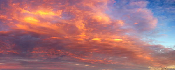 Wall Mural - beautifully lit clouds during sunrise