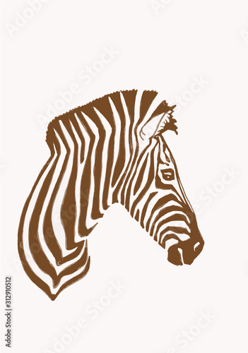 Fotomural Graphical vintage portrait of zebra , vector sepia illustration
