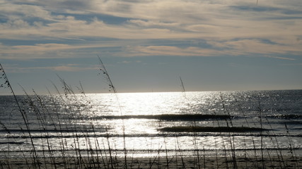 Wall Mural - sunset over sand and sea 013