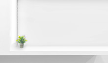 White Shelf Against White Wall With Green Plant. Copy Space
