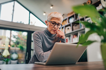 Wall Mural - Portrait of a serious senior woman looking at laptop.