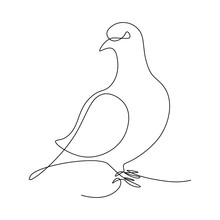 Pigeon In Continuous Line Art Drawing Style. Black Linear Sketch On White Background. Vector Illustration
