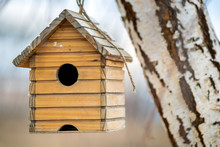Small Wooden Bird House Hanging On A Tree Branch Outdoors.