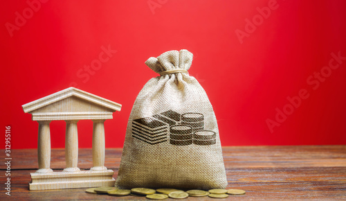 Cuadros en Lienzo Money bag and government building