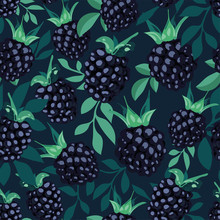 Tropical Seamless Pattern With BlackBerry Berries On A Dark Background. Floral Print. Bramble And Foliage. Fruit Repeated Background. Hand Drawing Illustration. Perfect Design.