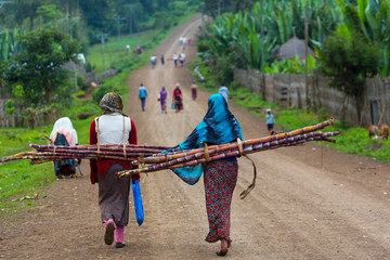 Wall Mural - dorze people, naciones, etiopia, africa