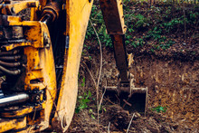 The Excavator Works In The Forest In Clearing The Forest.
