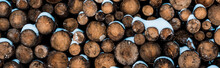 Stack Of Wooden Logs Covered With Pure Snow, Panoramic Shot