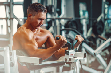 Wall Mural - Young Handsome Muscular Men Exercising in the Gym