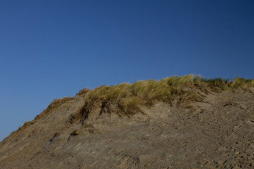 Wall Mural - Dune and blue sky