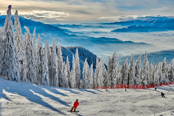 Poiana Brasov, Romania -16 January 2019: Skiers and snowboarders enjoy the ski slopes whit forest covered in snow on winter season,Romania,Europe