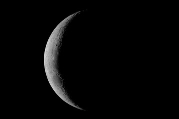 Wall Mural - close up of moon texture