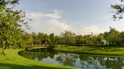 Fototapete - Small lake in public park, greenery trees, shrub and bush, green grass lawn in a good care maintenance landscapes, decorated with arch curve concrete bridge cross the water under white clouds blue sky