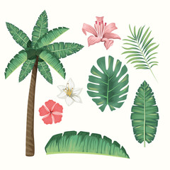 Poster - tropical leafs and flowers foliage pattern background