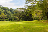Fototapeta Na ścianę - Landscape at the golf course. Tropical zone