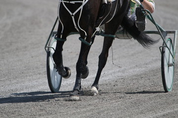 Harness Racing action at racetrack 