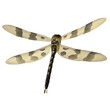 3d rendered halloween pennant dragonfly