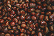 Closeup unpeeled uncooked raw chestnut background