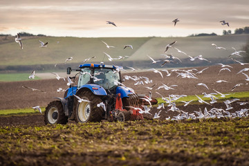 Sticker - farmer plowing his fields to the delight of seagulls