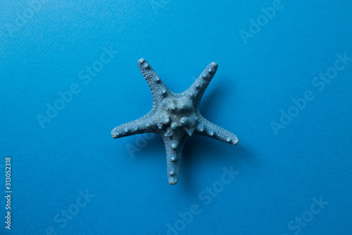 blue-starfish-isolated-on-blue-background-summer-marine-decoration