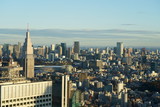 Fototapeta Nowy Jork - A view from above Tokyo