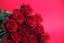 Valentine's Background, Bouquet Of Red Roses, Viva Magenta Cplour Of The Year 2023